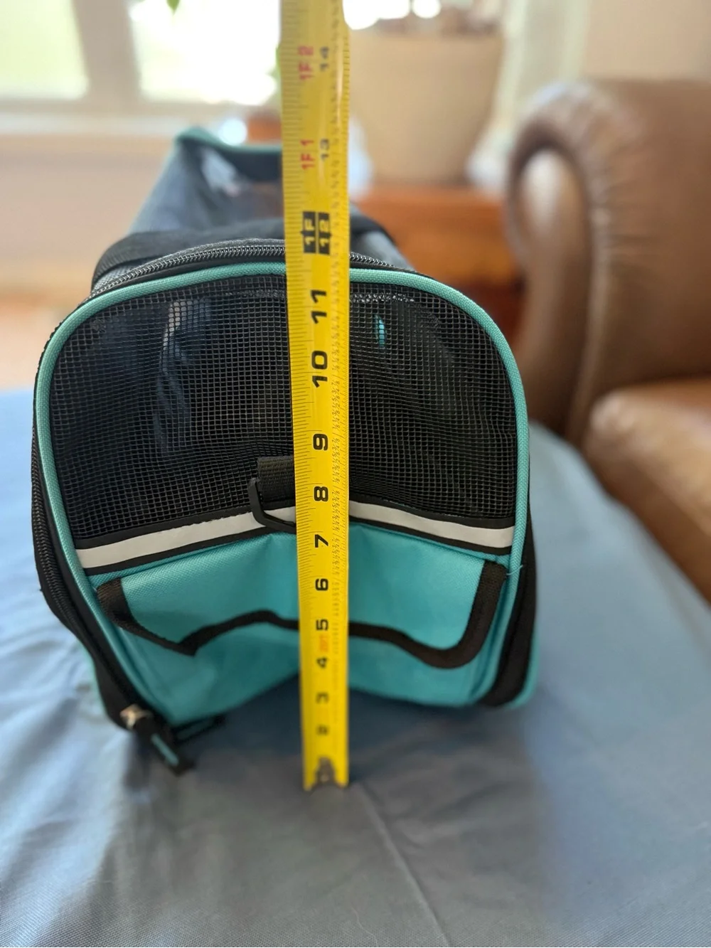 Teal Pet Carrier Bag